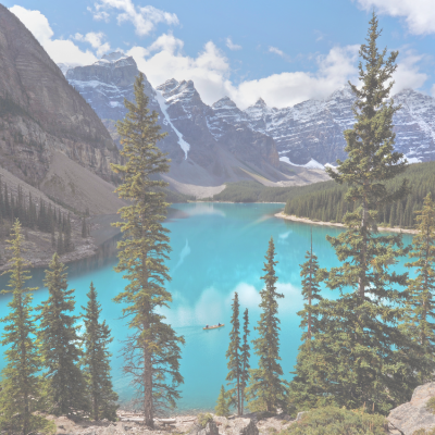 International Travel Nursing 