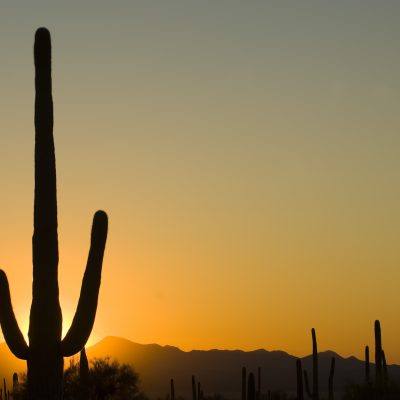 Waking Up in Phoenix, Arizona