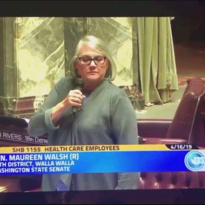 [Video] Nurses Respond to Washington Senator, Maureen Walsh