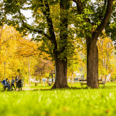 6 Great Parks to Visit this Summer for Travel Nurses