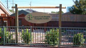 Cypress Creek Hospital