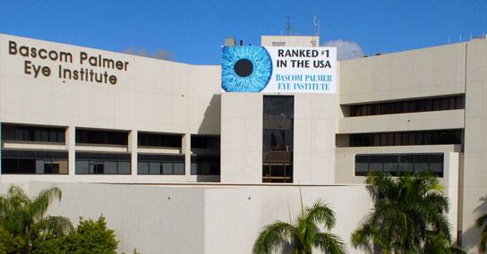 Hospital view 2