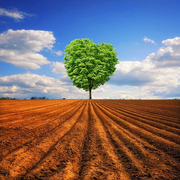 landscape-photography-46 Virtual Events Clone Page