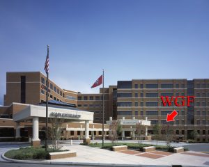 7190-contact-womens-group-of-franklin