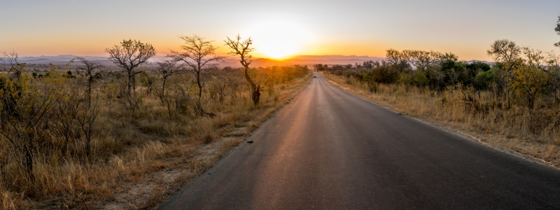 My Travel Nurse Journey: 18 Years of Memories travel nurse journey