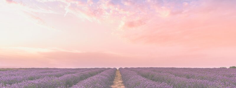 Stuck in Credentialing Limbo? Here’s How to Take Back Control. 2 credentialing