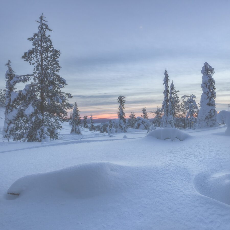 Top Scrub Brands Travel Healthcare Professionals Love in 2025 Top Scrub Brands Travel Healthcare Professionals Love in 2025