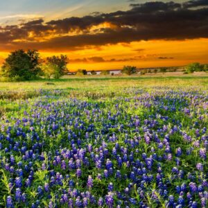 spring travel healthcare assignments