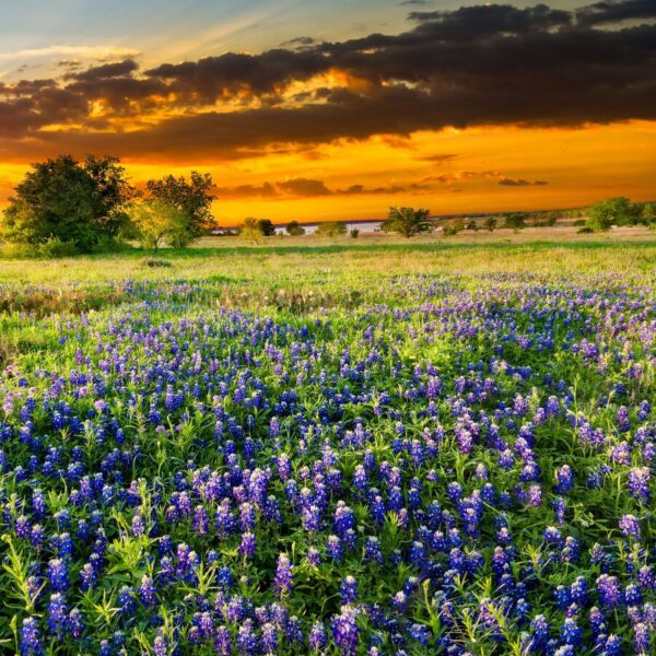 spring travel healthcare assignments