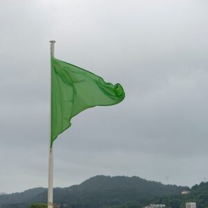 Medical Staffing Agency Green Flags Medical Staffing Agency