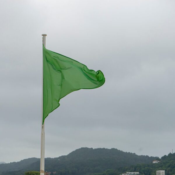 Medical Staffing Agency Green Flags Medical Staffing Agency