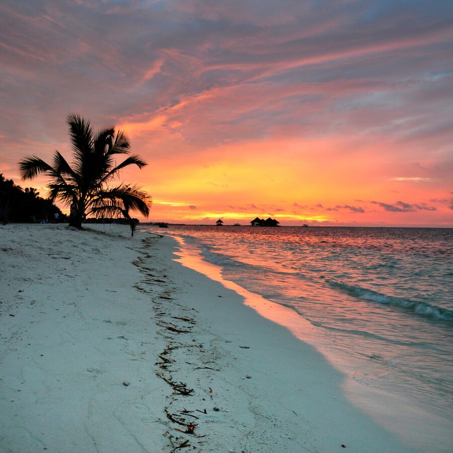 A Spring Book Bucket List for Healthcare Travelers