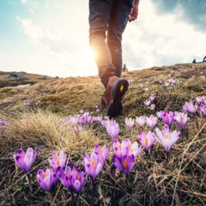 spring travel